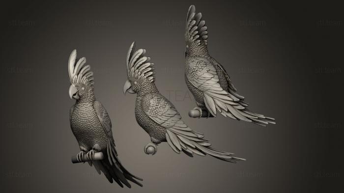 3D model parrot cacadu (STL)